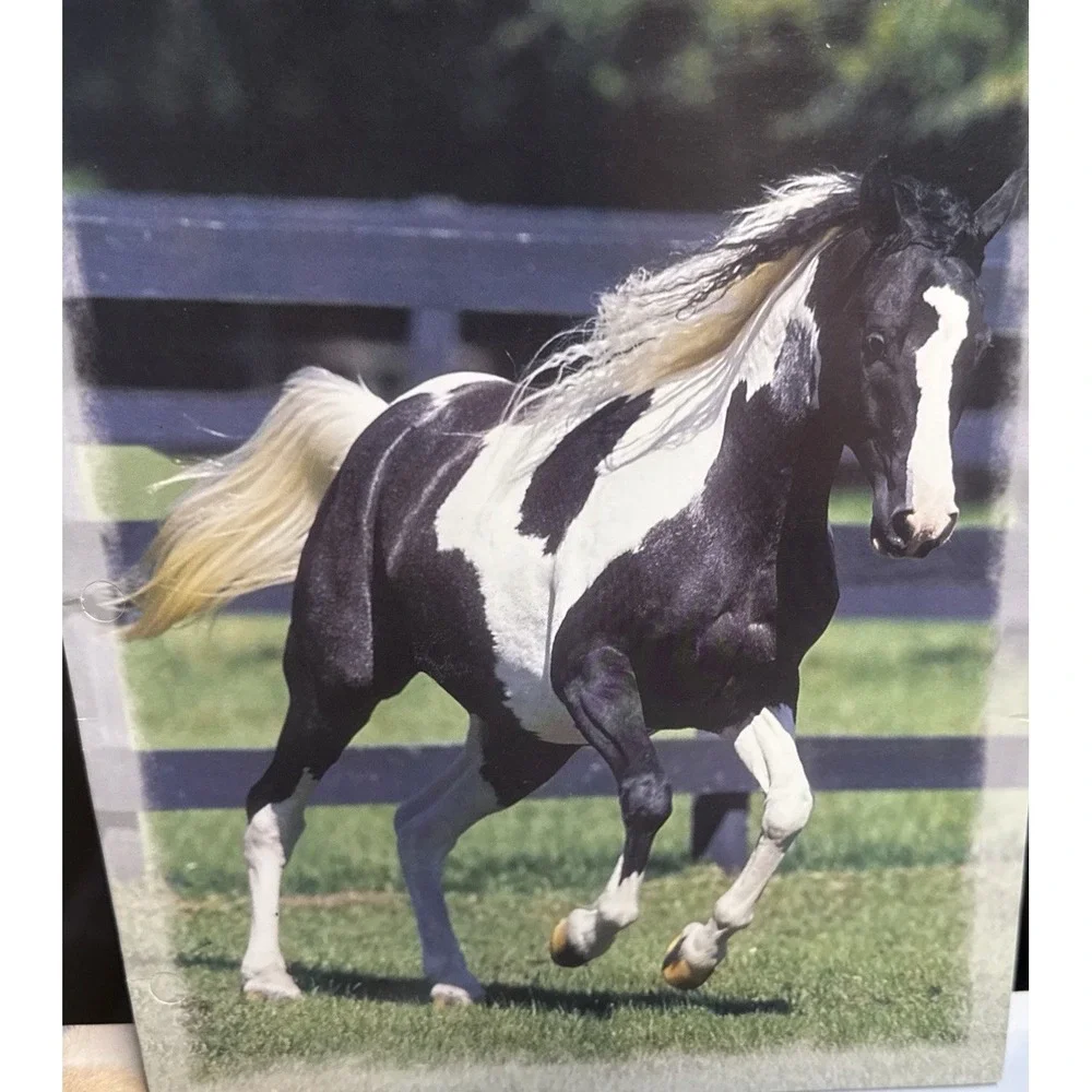 5-Vintage 2005 Horse Mead Portfolio 2 Pocket 3 Ring Bob Langrish